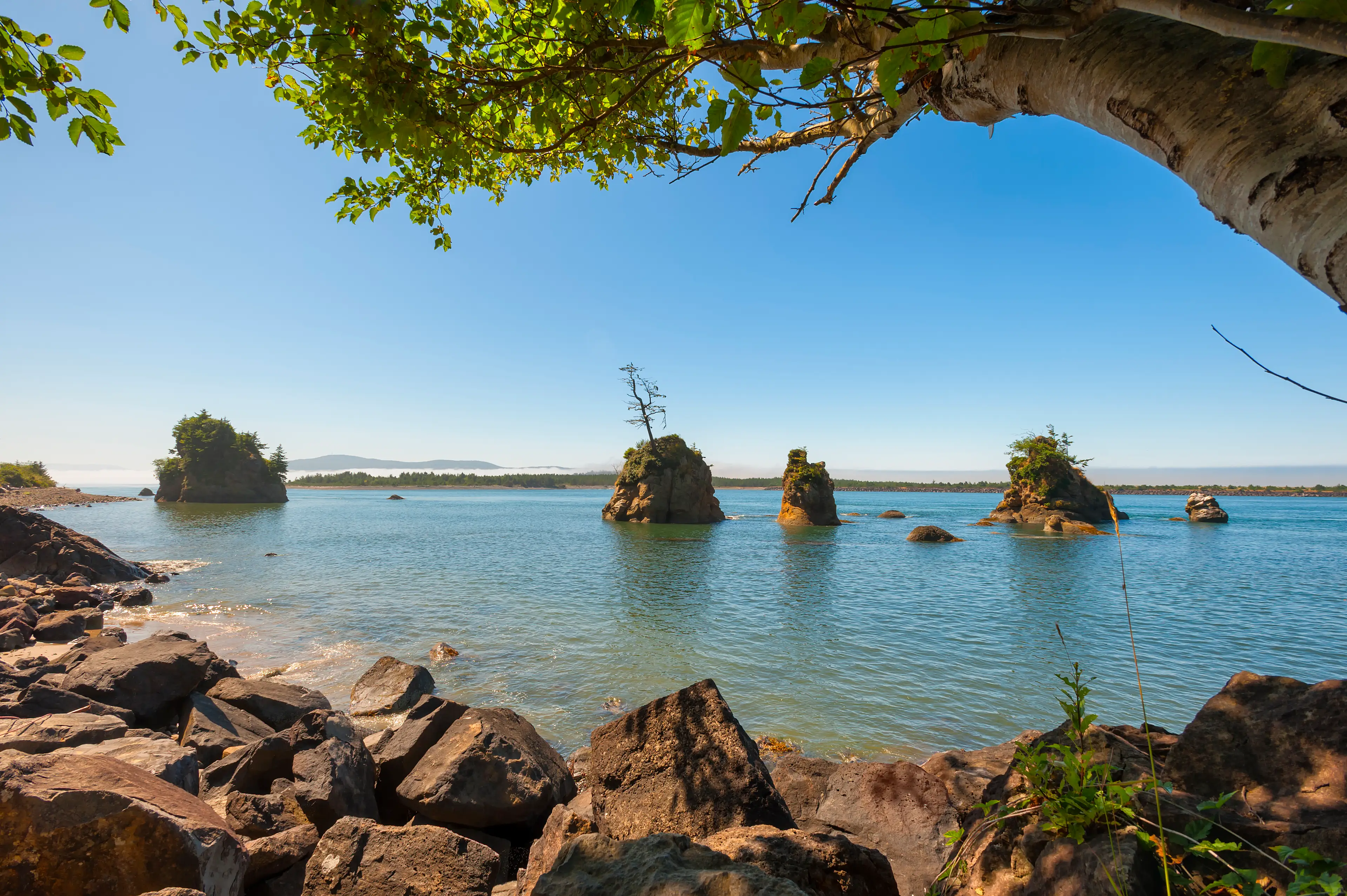 Clarence Asher went crabbing in Tillamook Bay (Getty Images) 