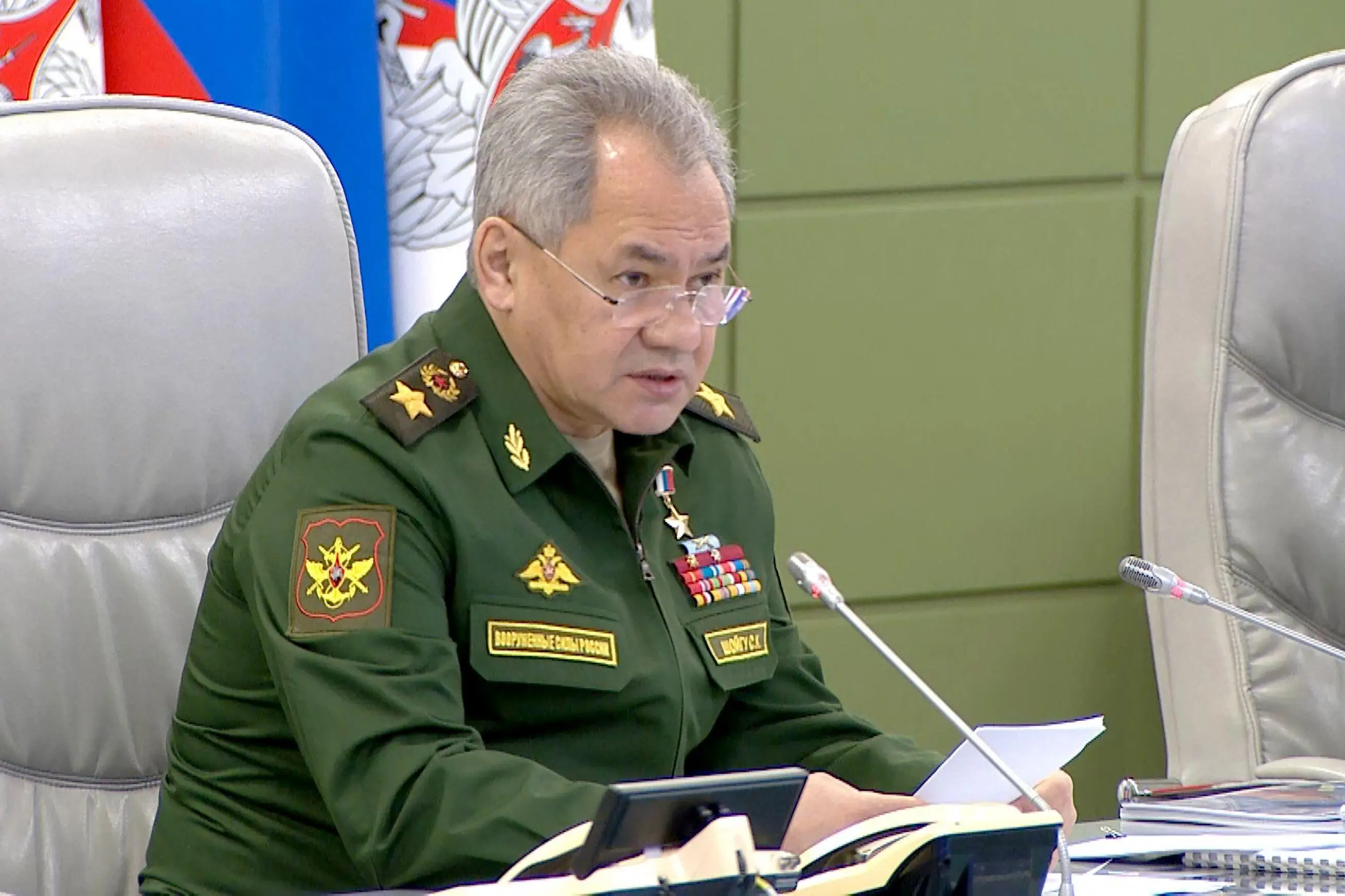 Russian defence minister Sergei Shoigu (Alamy)