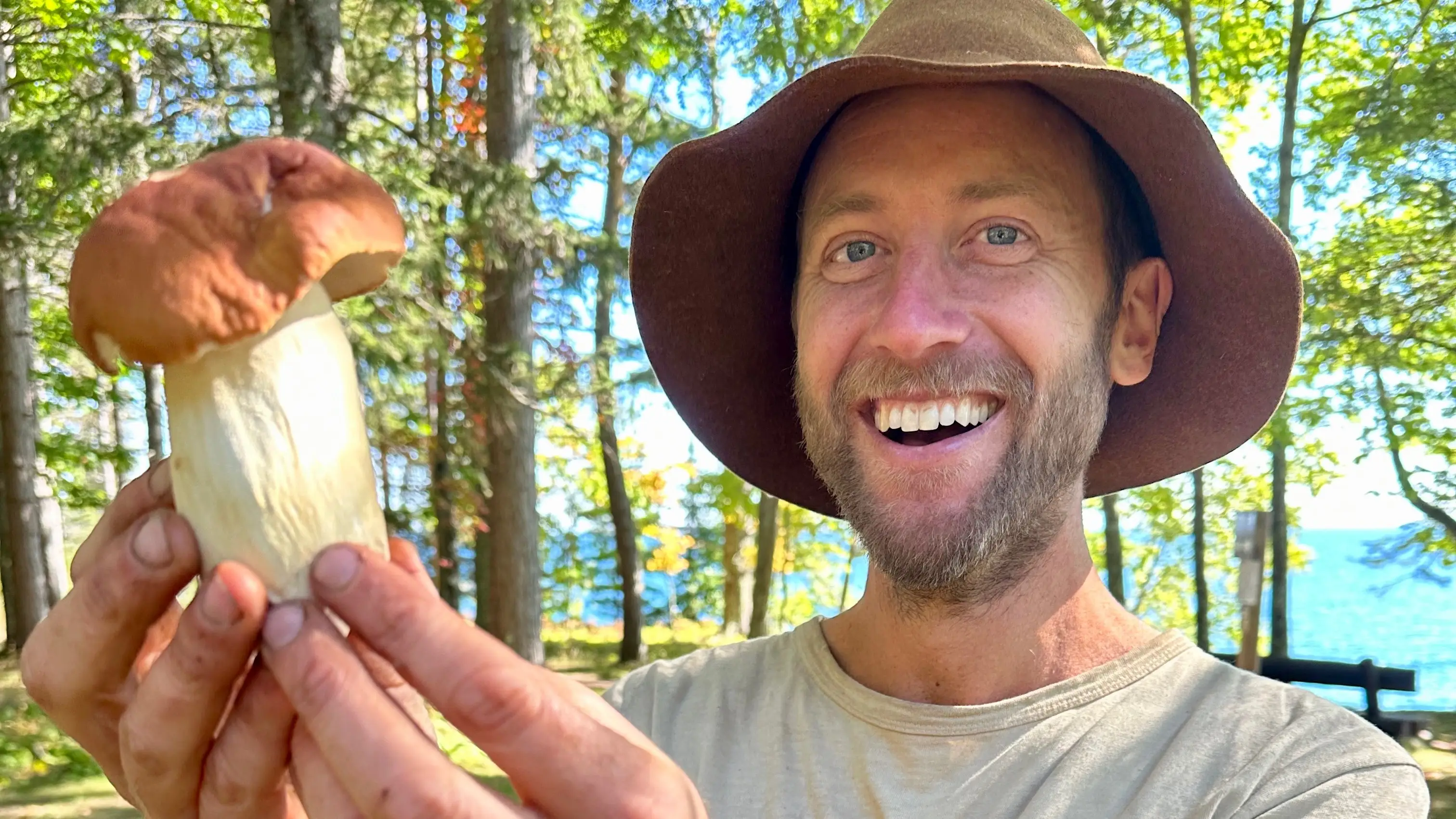 Supplied