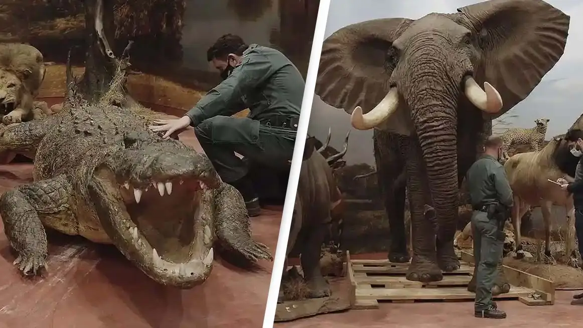 Spanish Guardia Civil