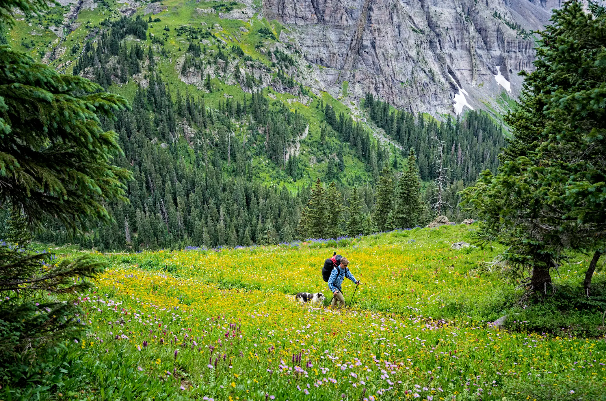 The hiker's identity has never actually been revealed, lucky for them.(Getty Stock Image)