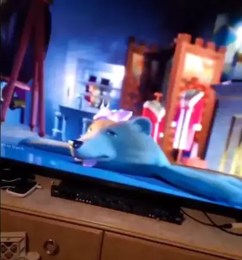 Oh no... (Twitter/SanadeSweet)