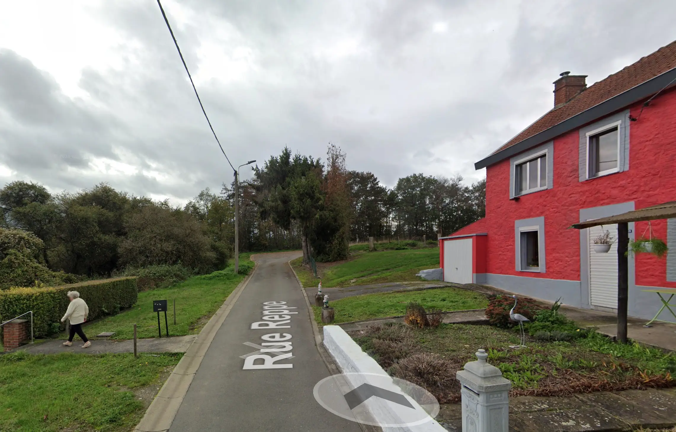 Landrieux is seen walking towards her neighbour's garden - where she would eventually fall and be found right below the yard two years later(Google Maps)
