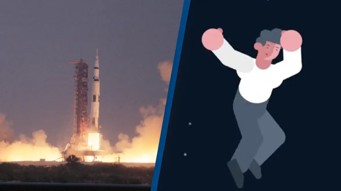 Getty Images/YouTube/The Infographic Show