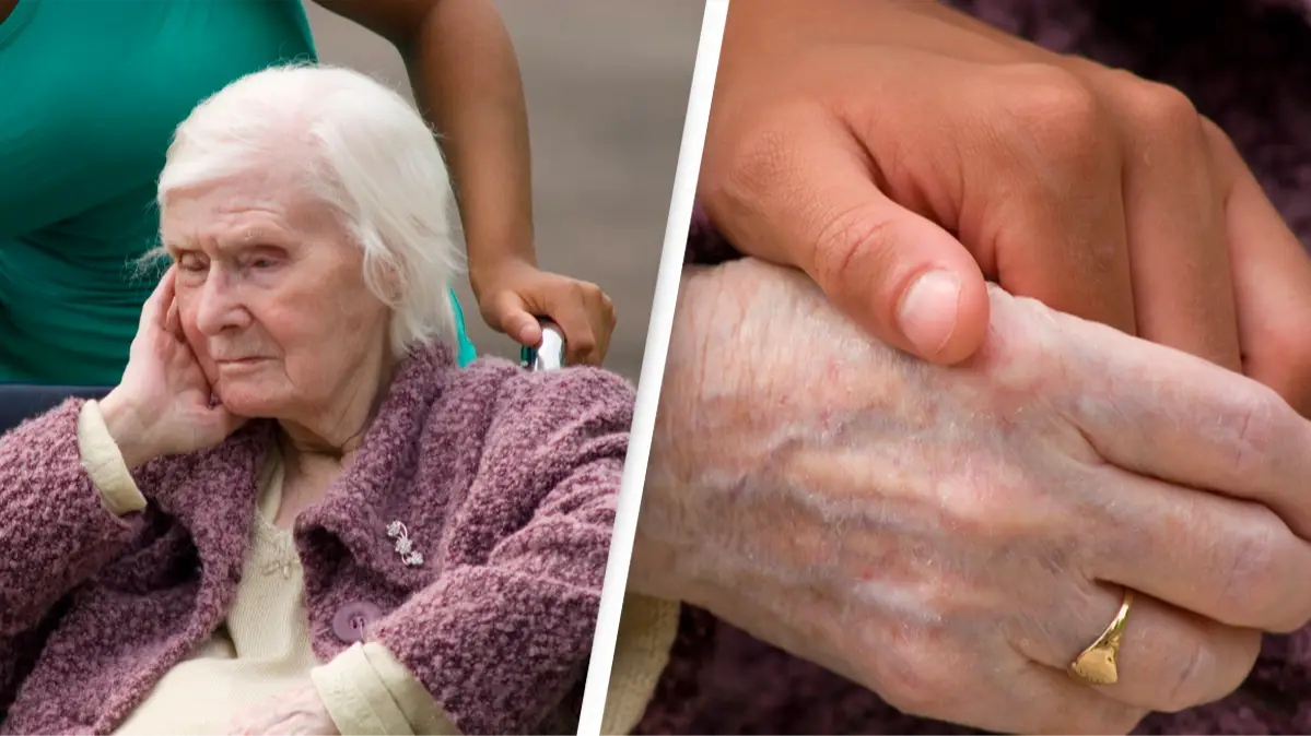 Angela Hampton Picture Library / Alamy