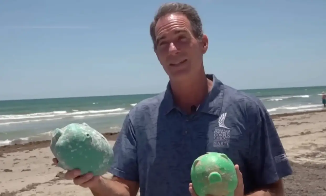 Tunnell explained how no money had been found in the piggy banks (Kill 3 News)