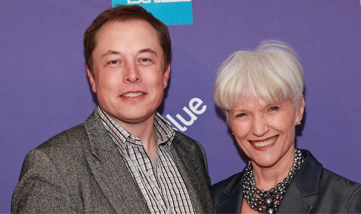 Elon Musk was born in South Africa, but considers himself to have British heritage (Charles Eshelman/FilmMagic)