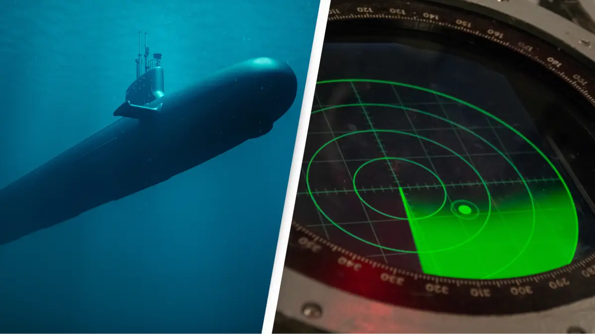 This is the terrifying reality of what happens if you hear an active submarine sonar while underwater