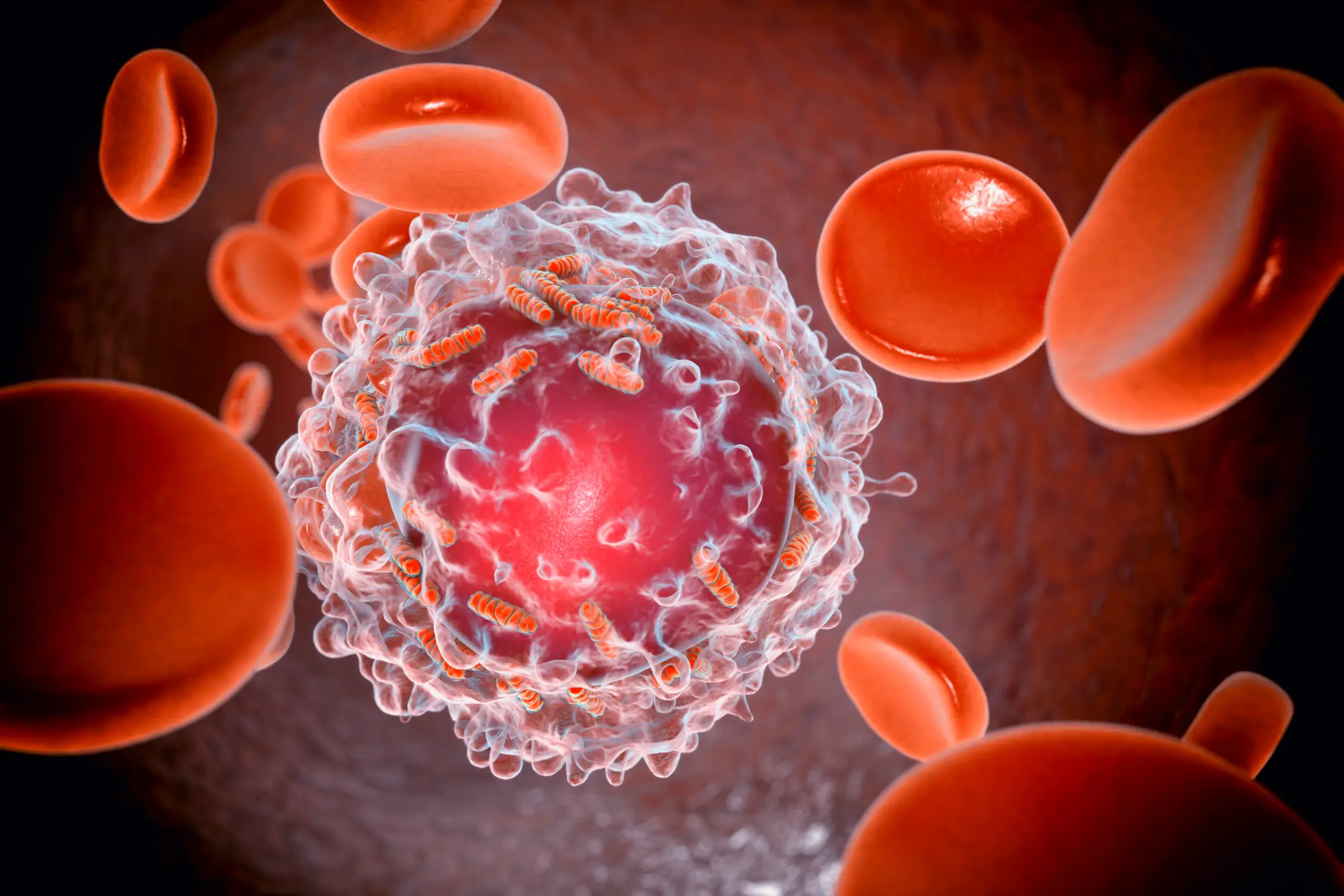 Cancer cells (Getty Stock Image)