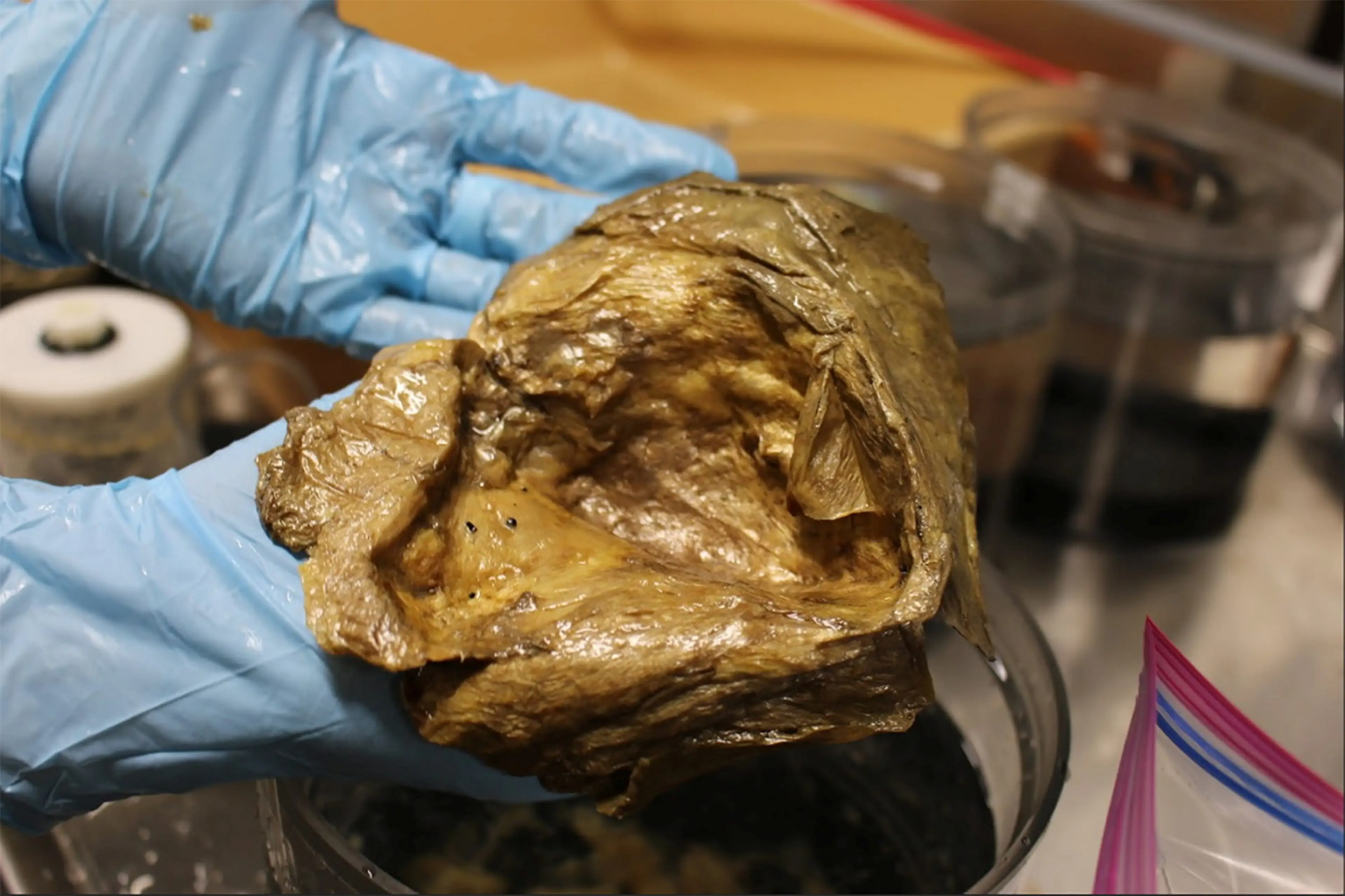 The strange object was tested to discover its origin (SWNS)