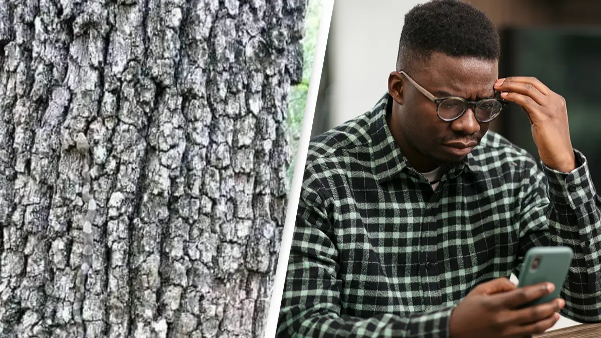 People baffled trying to spot incredibly dangerous animal hiding in this picture