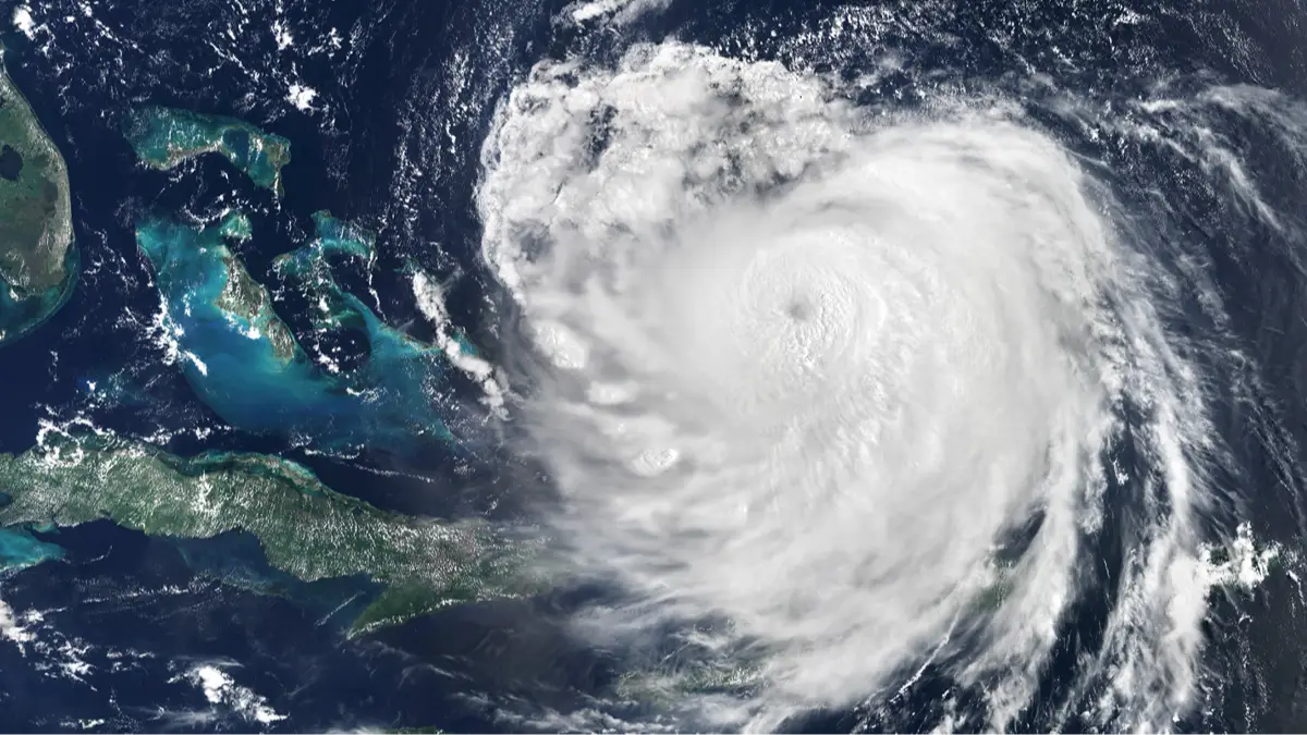 Getty Images/Gallo Images