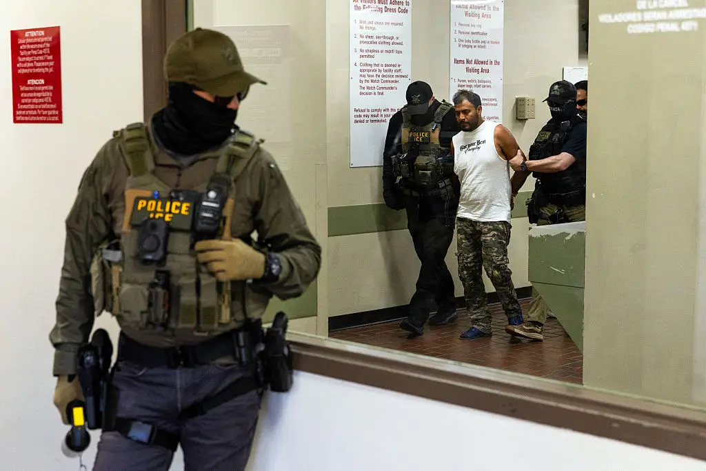 Every field officer at Immigration and Customs Enforcement is set to be issued a body camera by the end of September. (Photo by Blake Fagan / AFP via Getty Images)