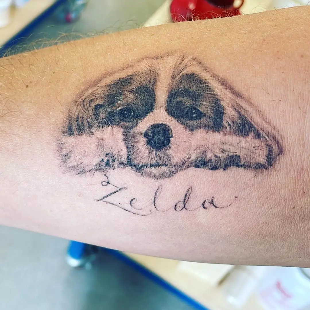 Rogen said his beloved pooch is now 'just a glance away at all times'.