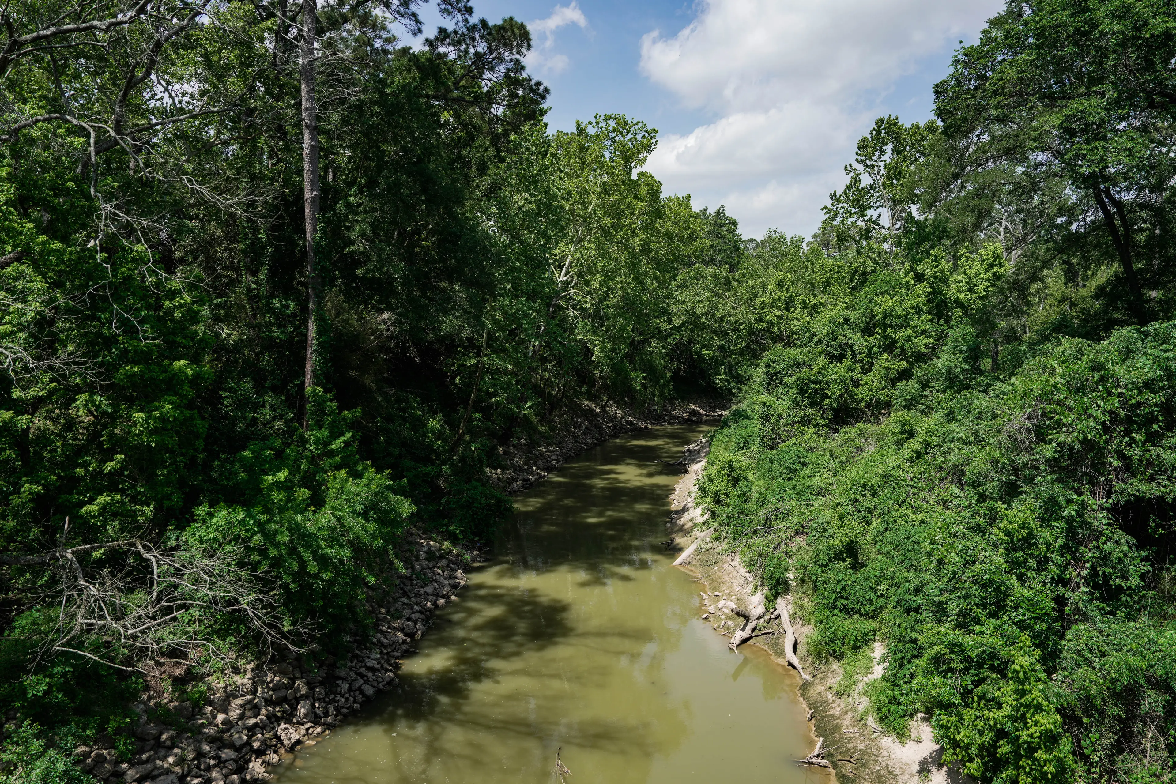 A bayou in Houston (Raquel Natalicchio/Houston Chronicle via Getty Images)