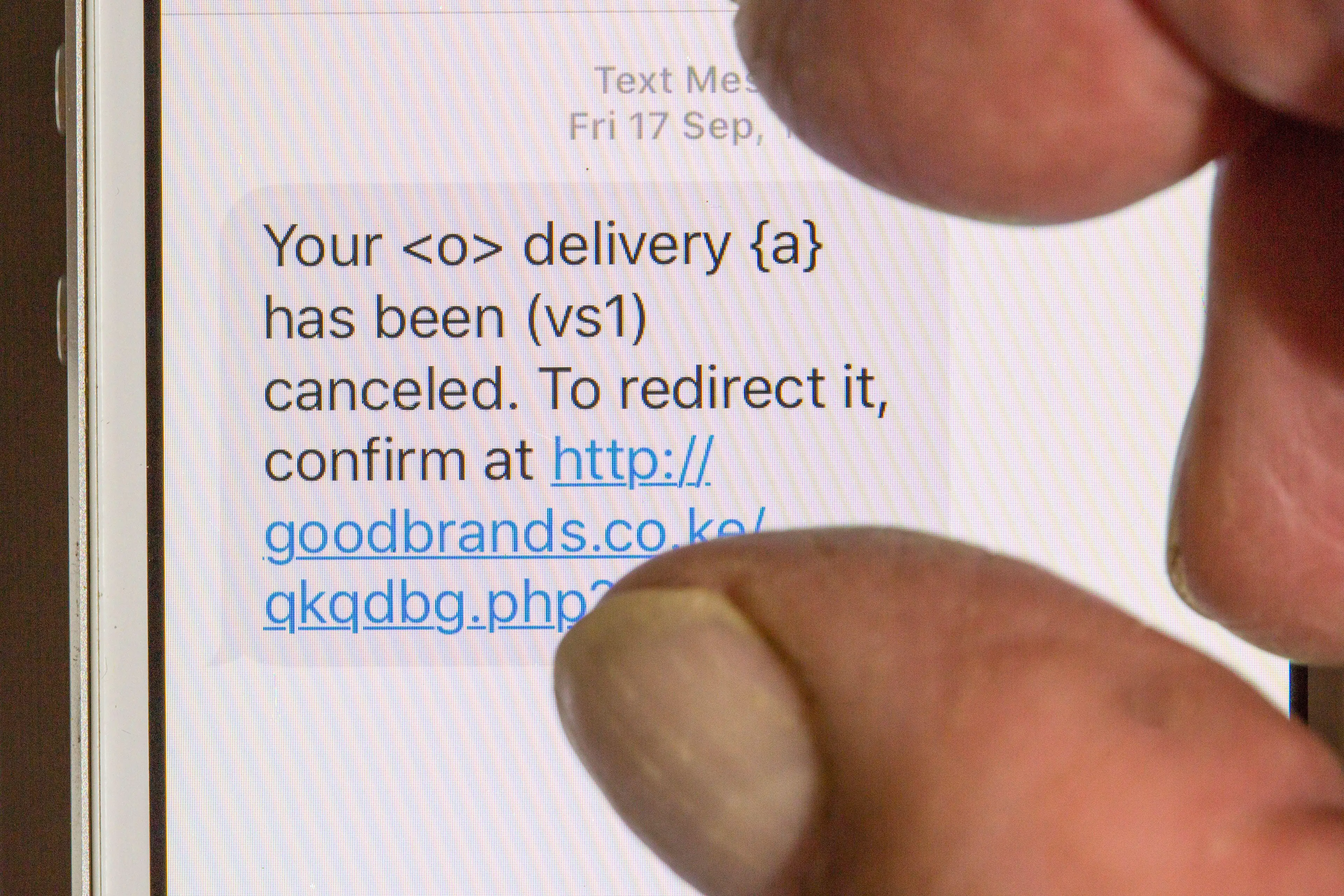 A scam text message (Alamy )