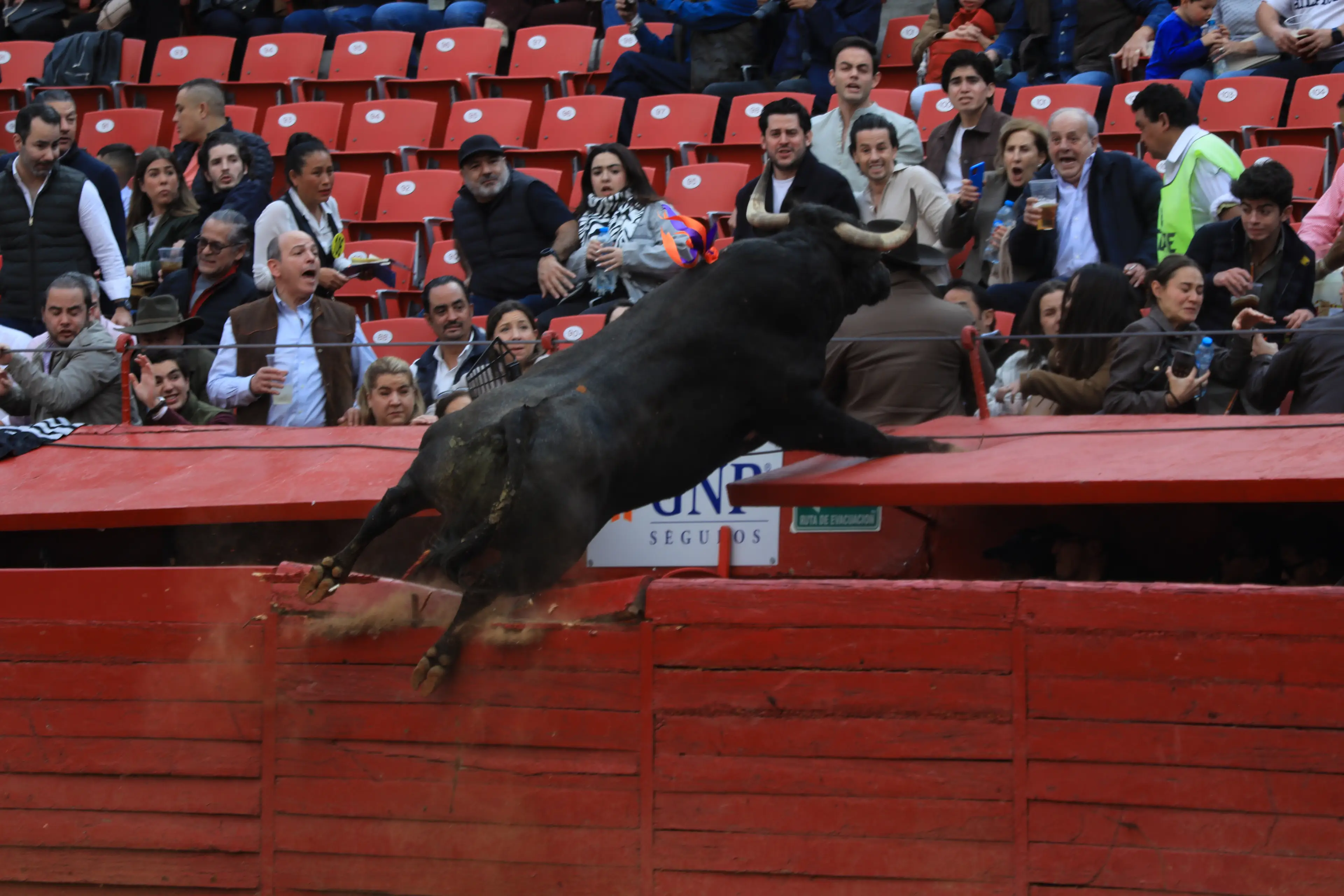 The bull went soaring over the barrier (Ian Robles/ Pixelnews/Future Publishing via Getty Images)