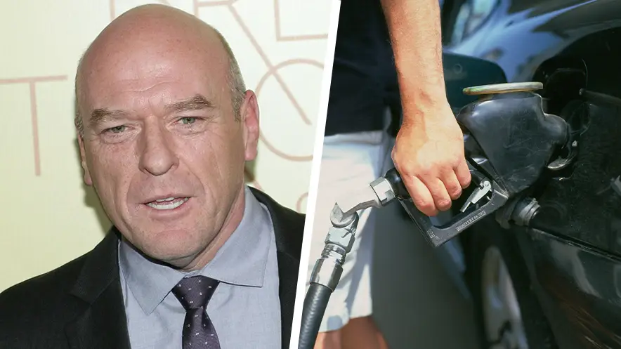 verett Collection Inc / Alamy.  Kathy deWitt / Alamy.