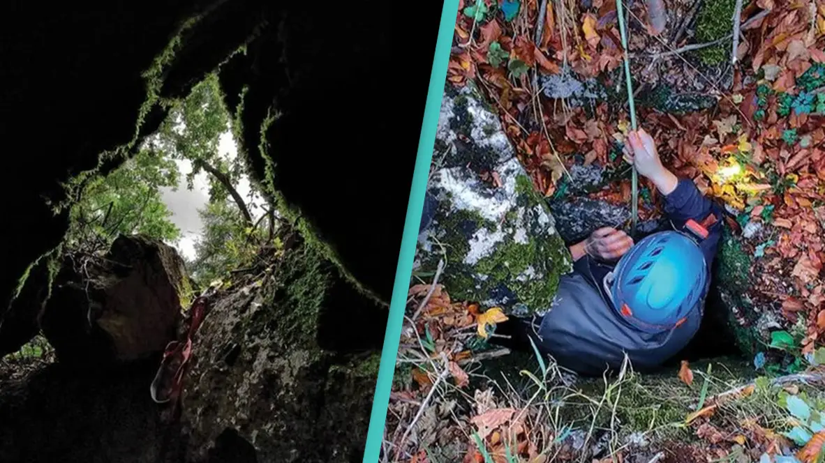 ‘Large’ creature and suspected 'new species' found lurking in ‘underground cavern’