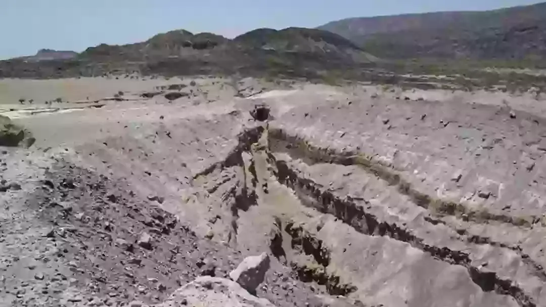 Julie Rowland/University of Auckland