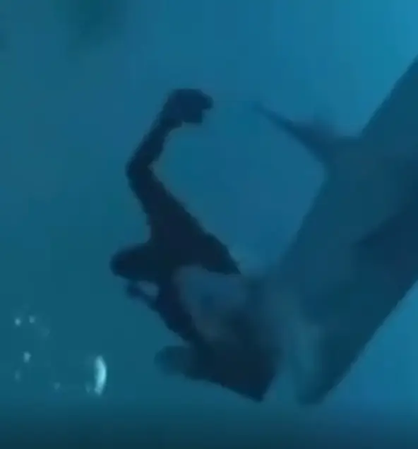 The shark decided to take a bite out of the diver (That-Jelly6305/Reddit)