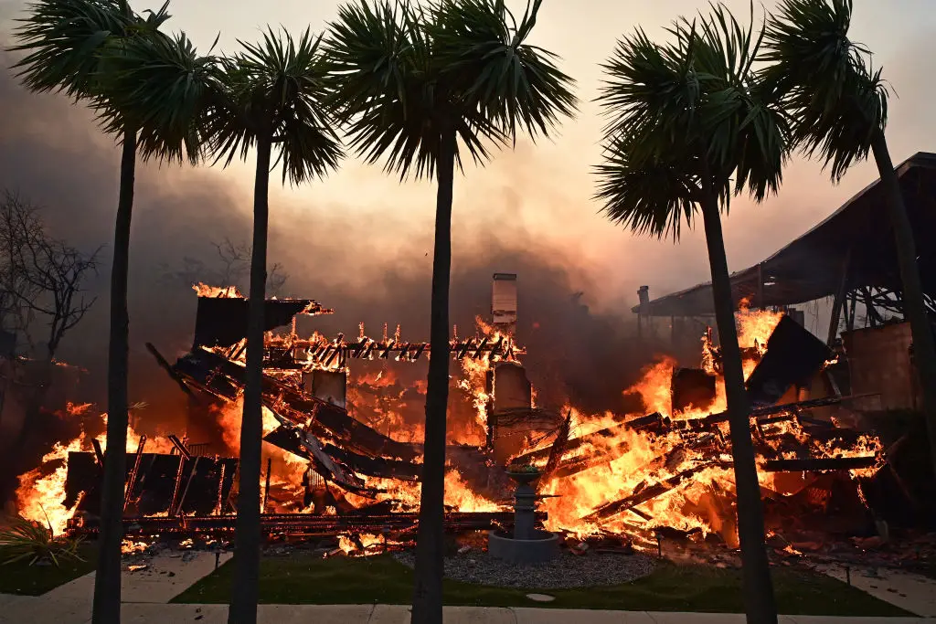 Tens of thousands of acres have been burnt and destroyed in Los Angeles (AGUSTIN PAULLIER/AFP via Getty Images)