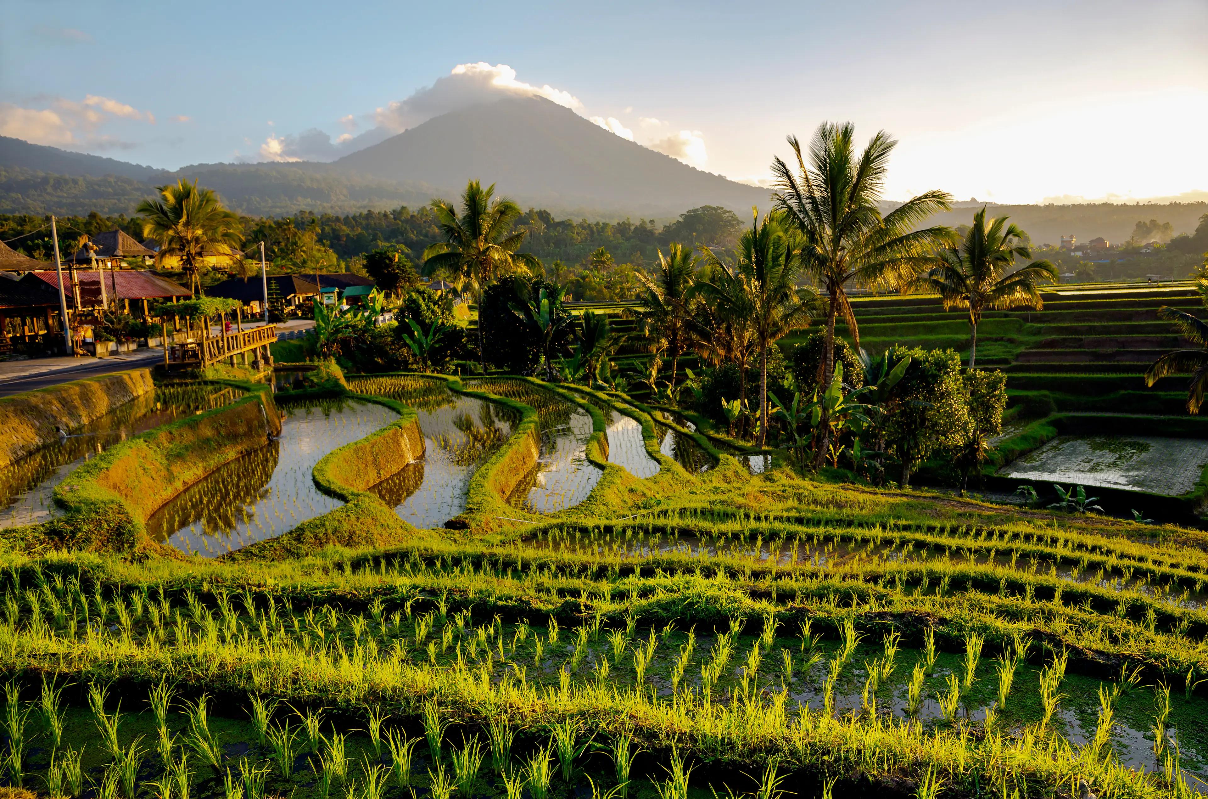 The incident took place in Tabanan, Bali.