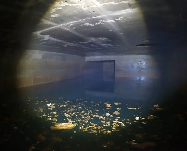 The discovery was certainly eerie. (Jam Press) 