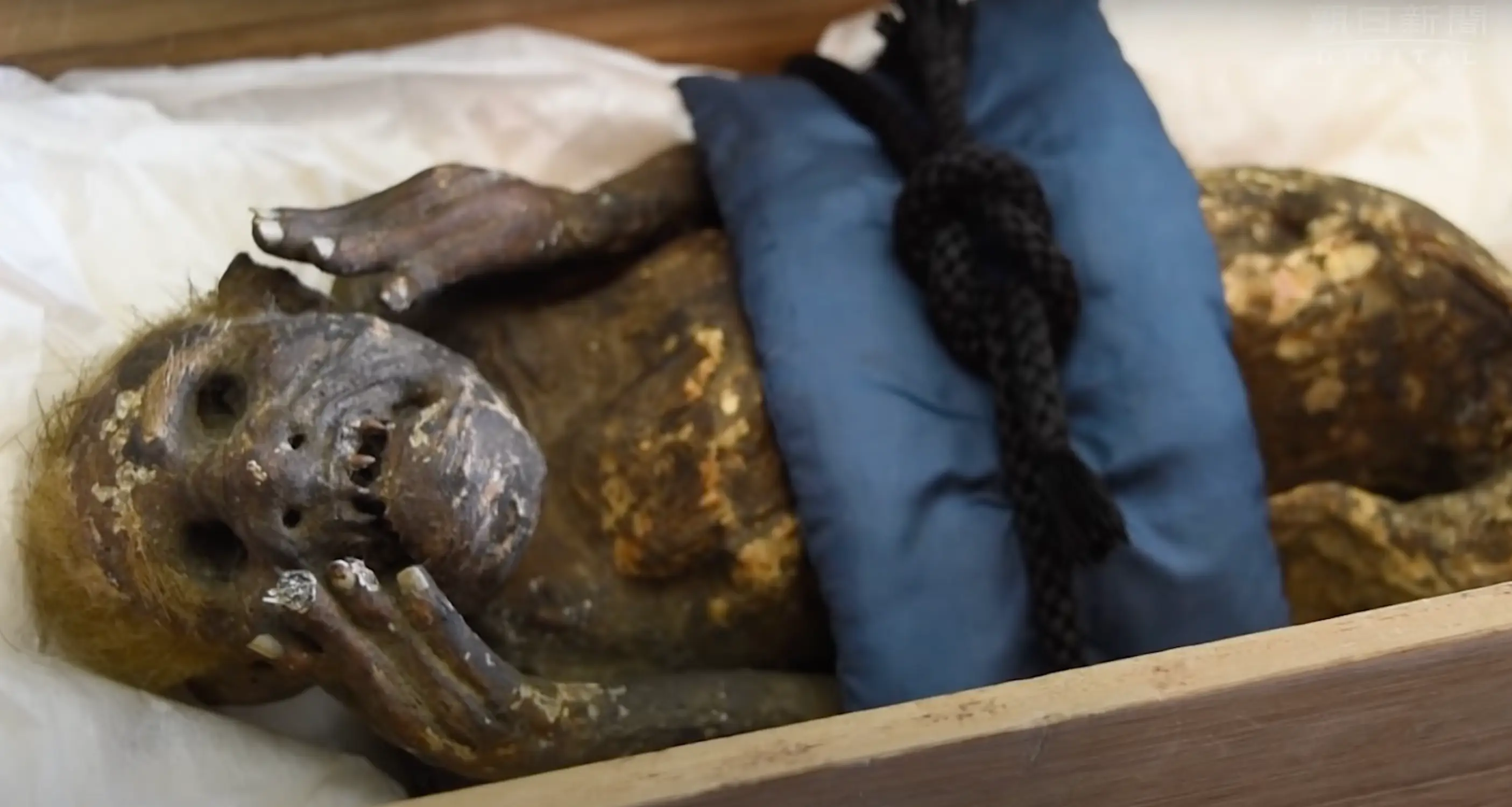 The research project spanned an entire year.