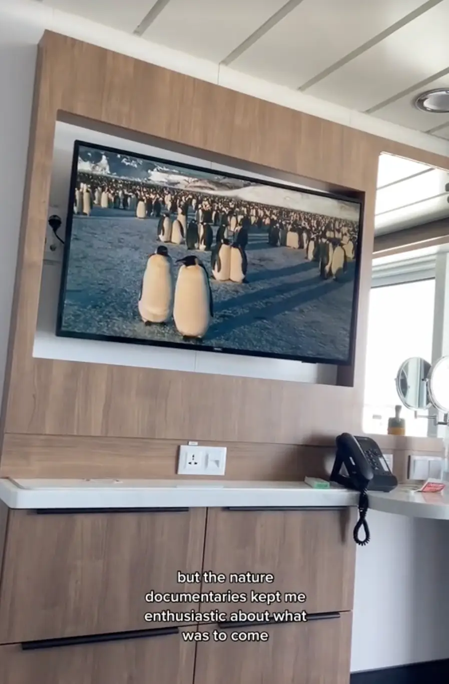 Natasha watched nature documentaries to pass the time.