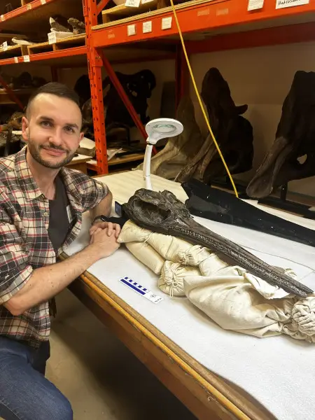 It's a fearsome-looking thing (Dean Lomax)