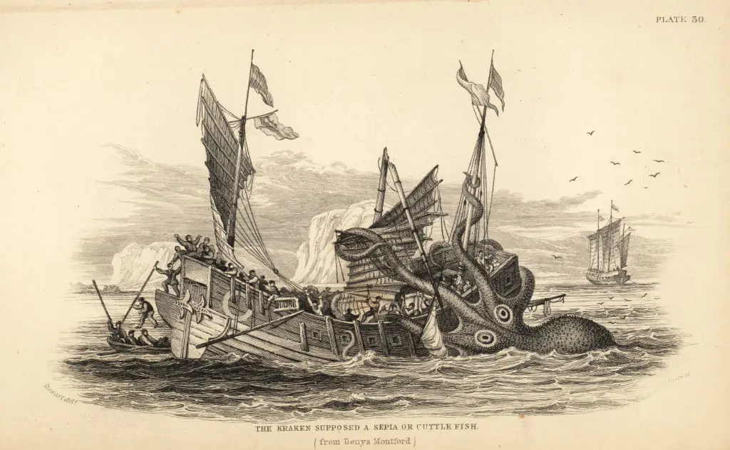 Seafarers have long shared stories of giant squid attacking shipping (Photo by: Florilegius/Universal Images Group via Getty Images)