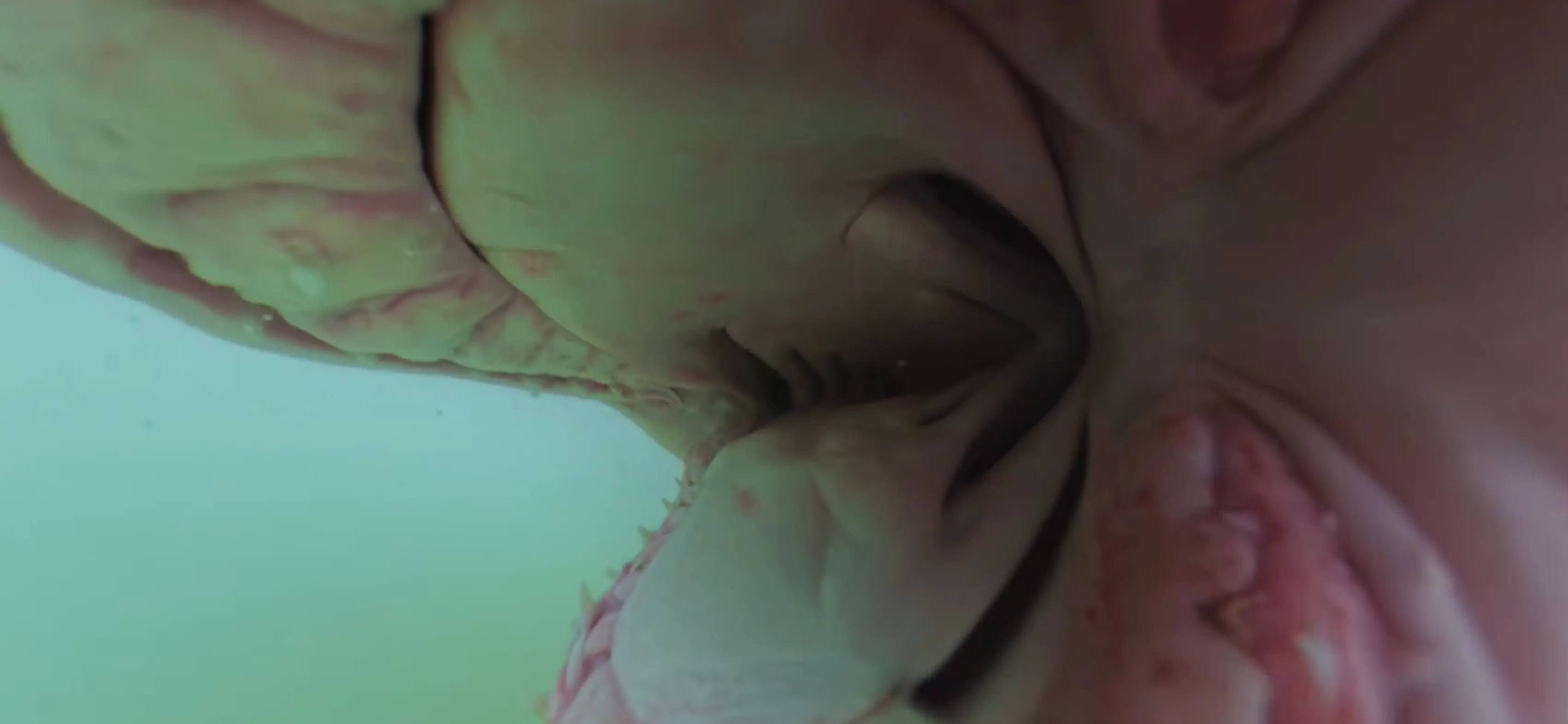 Yep, that's the mouth of a great white shark (YouTube/@TheMalibuArtist)