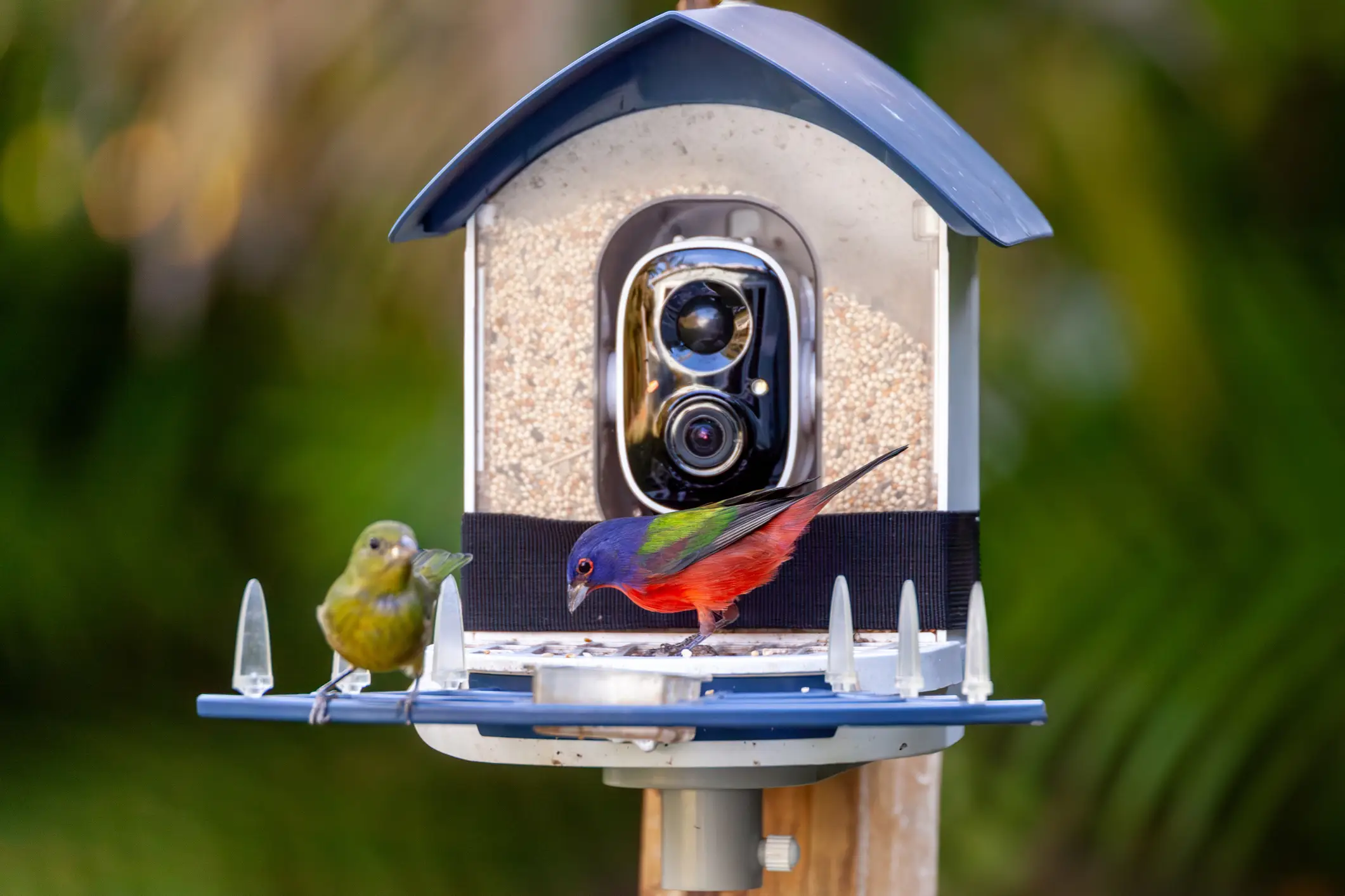 The man said he had a 'human' alert on his bird feeder (Getty Stock Images)