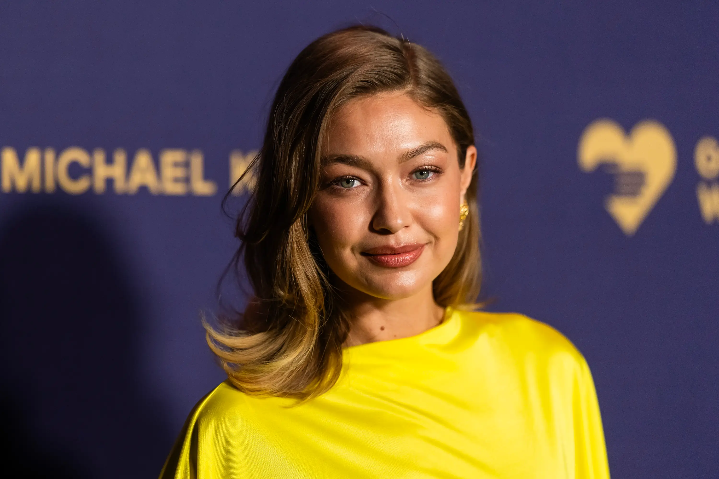 Gigi Hadid is named in the Epstein files (TheStewartofNY/FilmMagic)