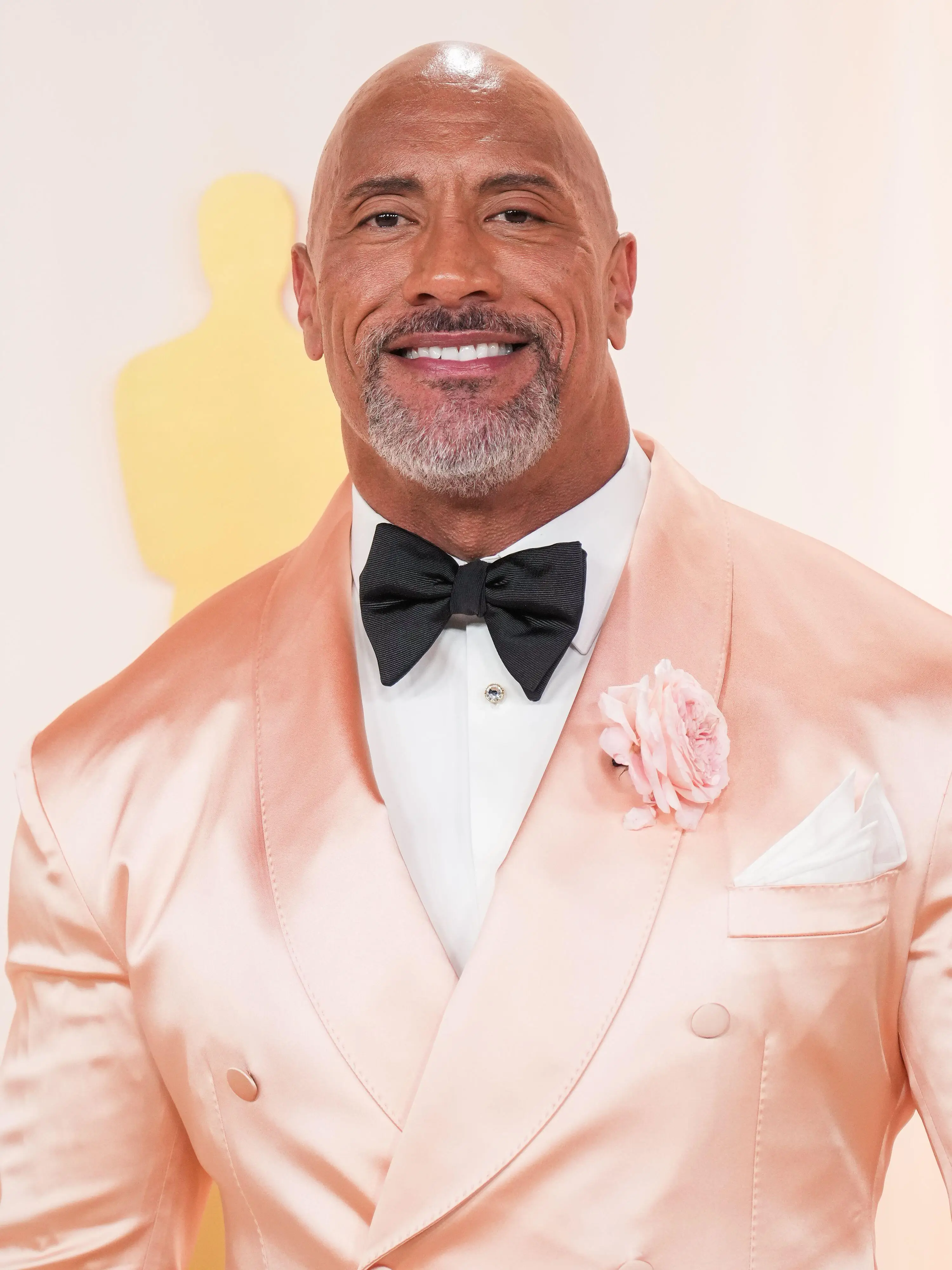 Johnson had hoped to launch a new DCU.