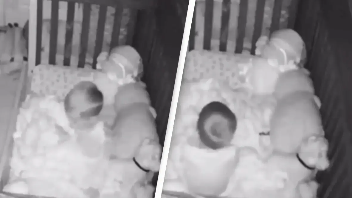 Reddit/u/itsfrenchiii