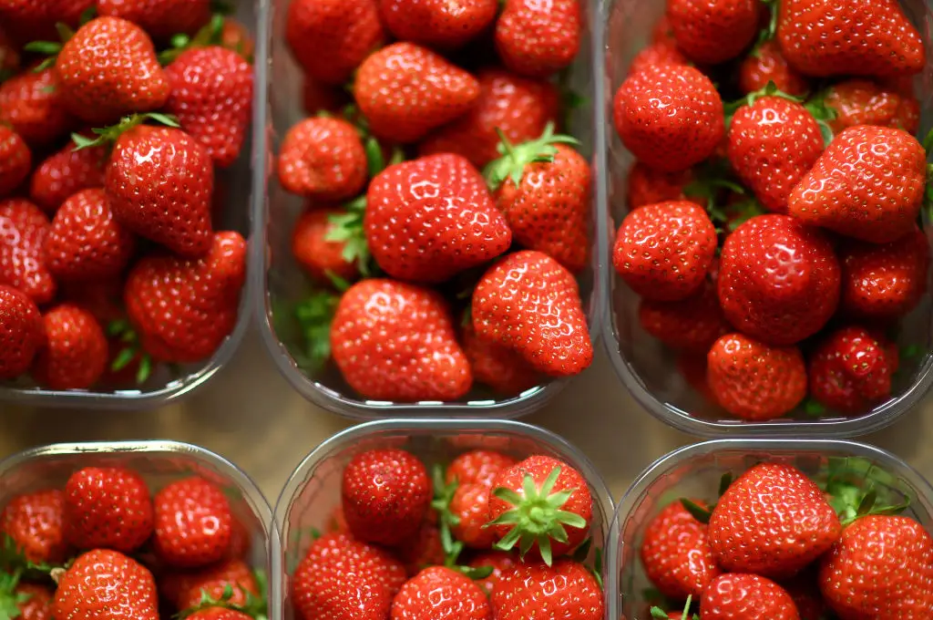 The name Fraise was banned after officials linked it to crude French slang (Franck Fife/Getty Images)