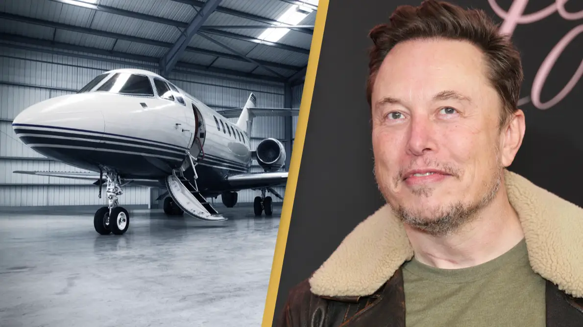 Kayla Oaddams/WireImage/ Getty stock