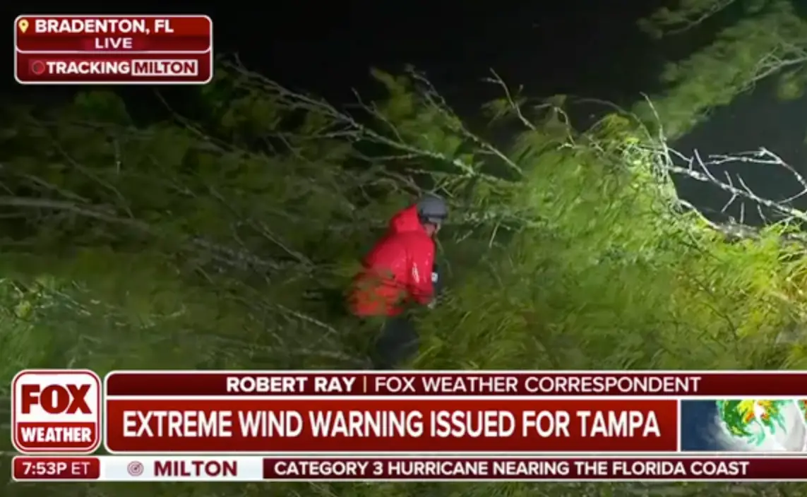 Fox Weather reporter Robert Ray showed the tree that almost fell on them (FOX Weather)