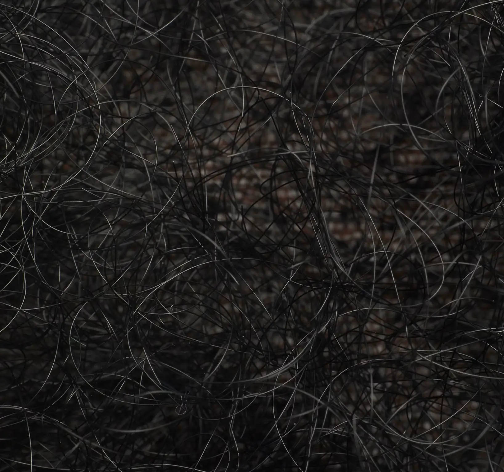 The handmade thong is detailed with synthetic hair to resemble that of a pubic bush (Skims)