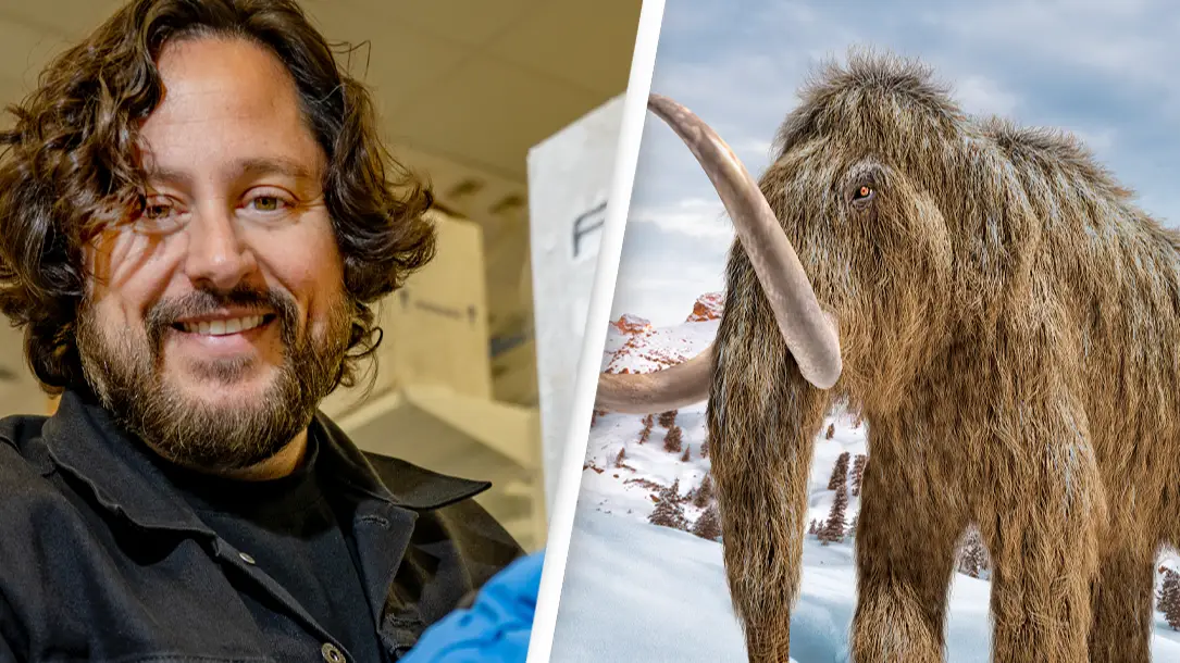 Colossal Biosciences/Getty Stock