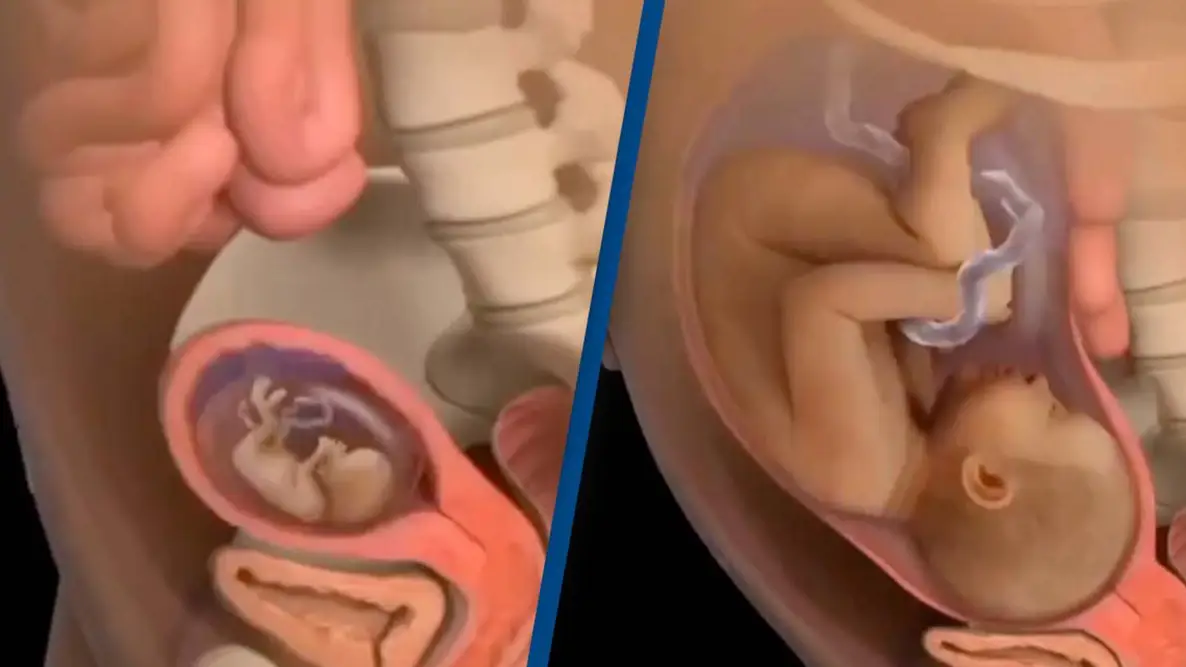 Instagram/mommys_touch_shital_lathiya