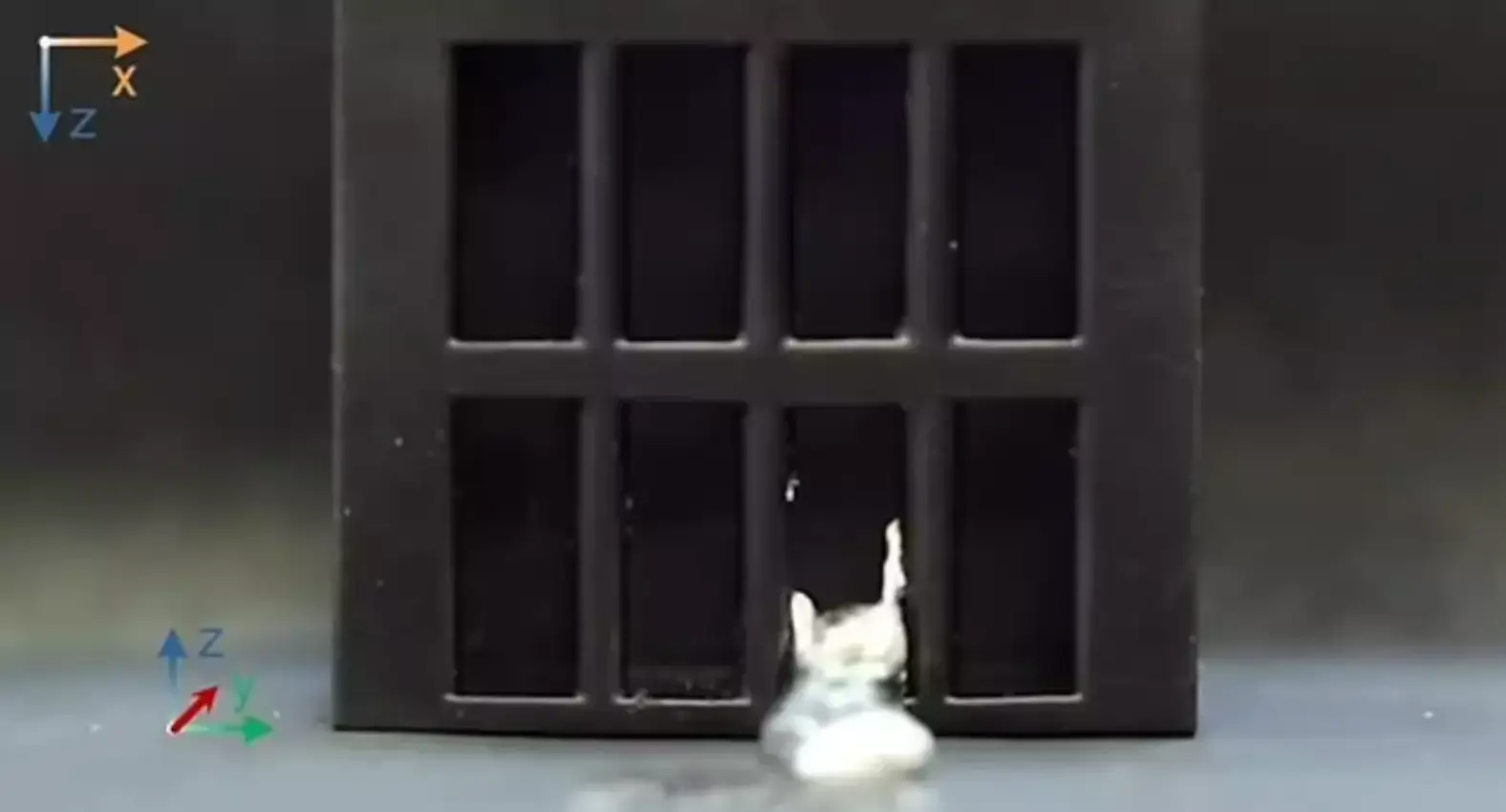 The Terminator in real life?!