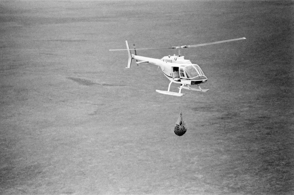 The bear went missing in the Outer Hebrides for almost a month until his impressive rescue (Peter Stone/Mirrorpix/Getty Images)