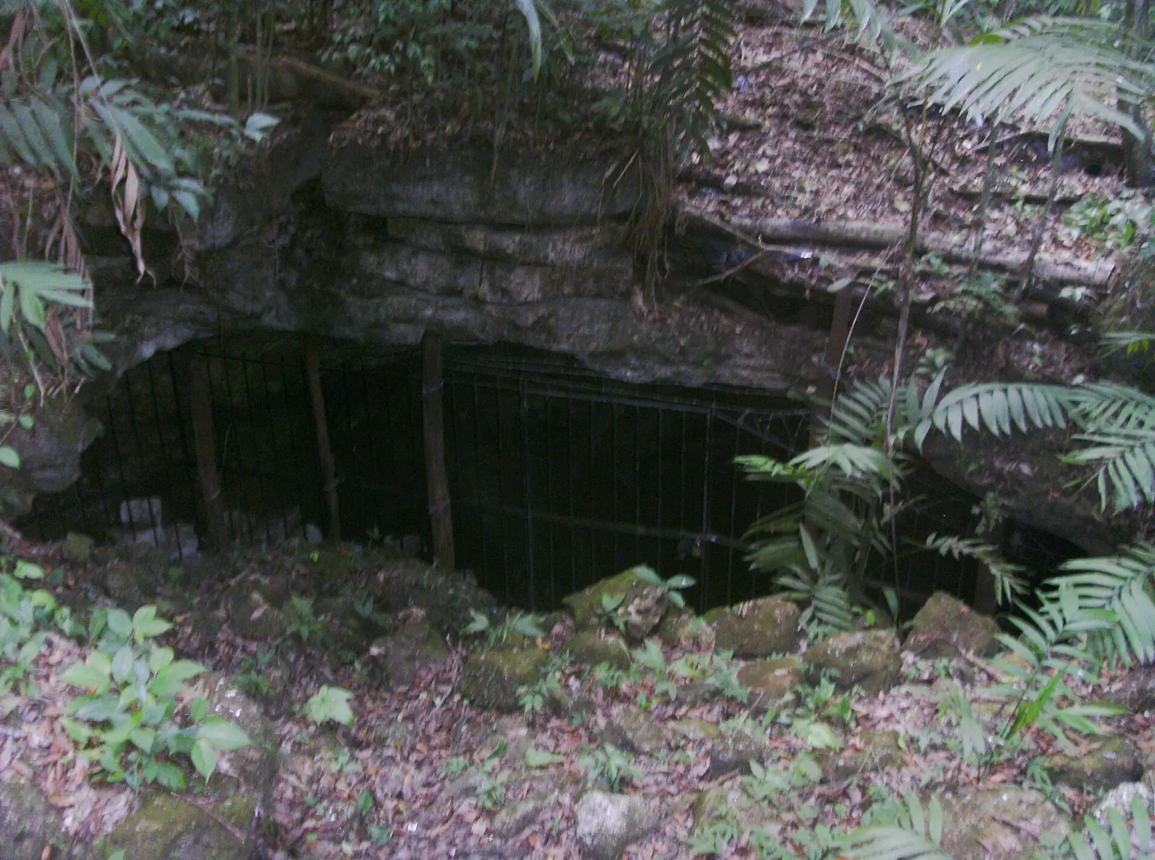 Cave entrance near El Duende (Noche de la pena/Wikimedia Commons)