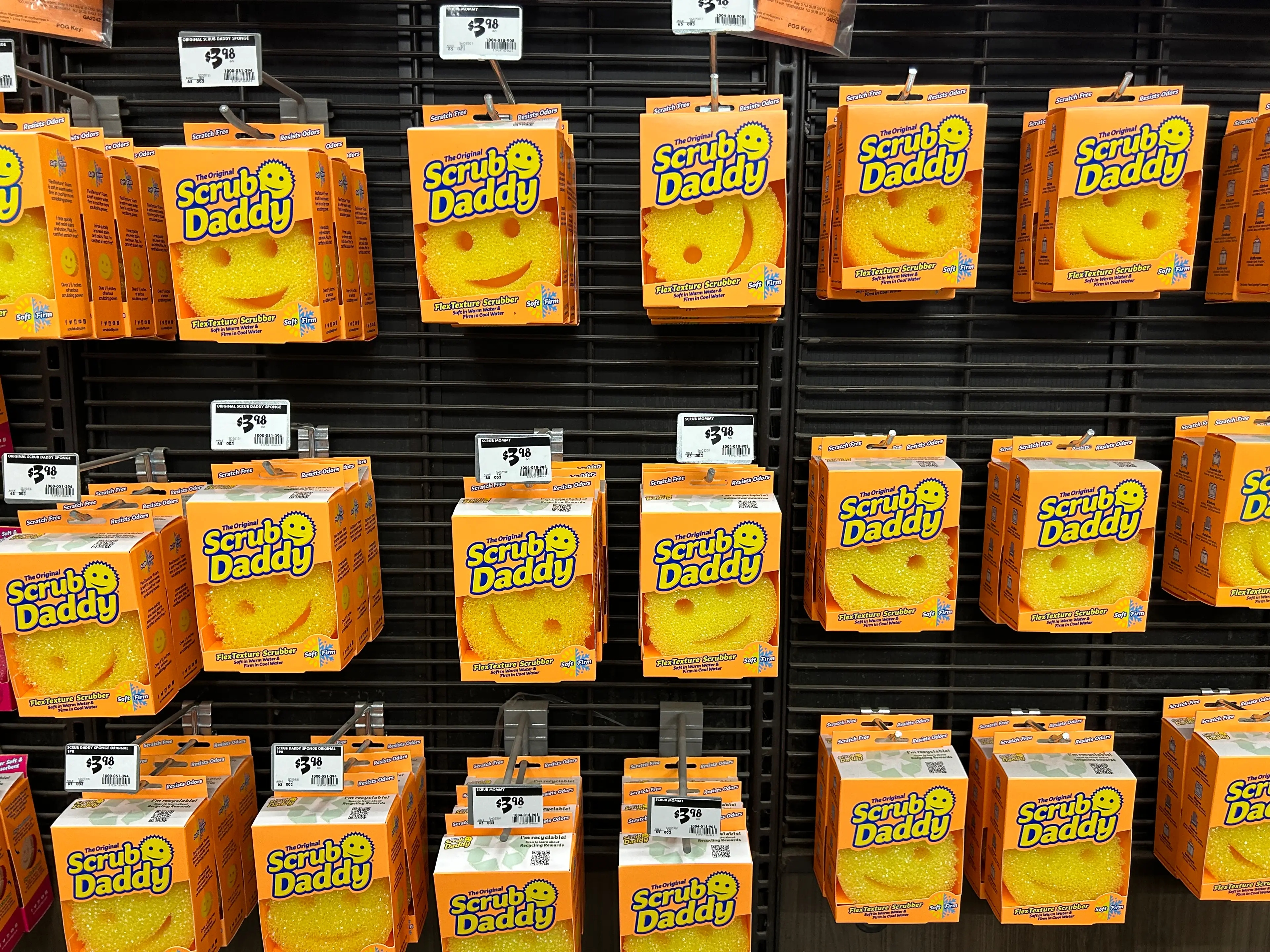 Scrub Daddy is reportedly worth millions (Lindsey Nicholson/UCG/Universal Images Group via Getty Images)