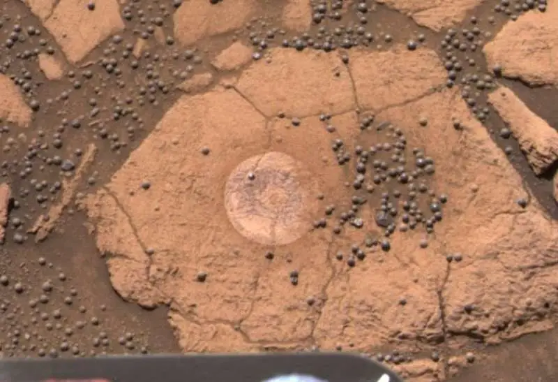 The rover previously identified 'mushroom-like' structures on Mars. (NASA)