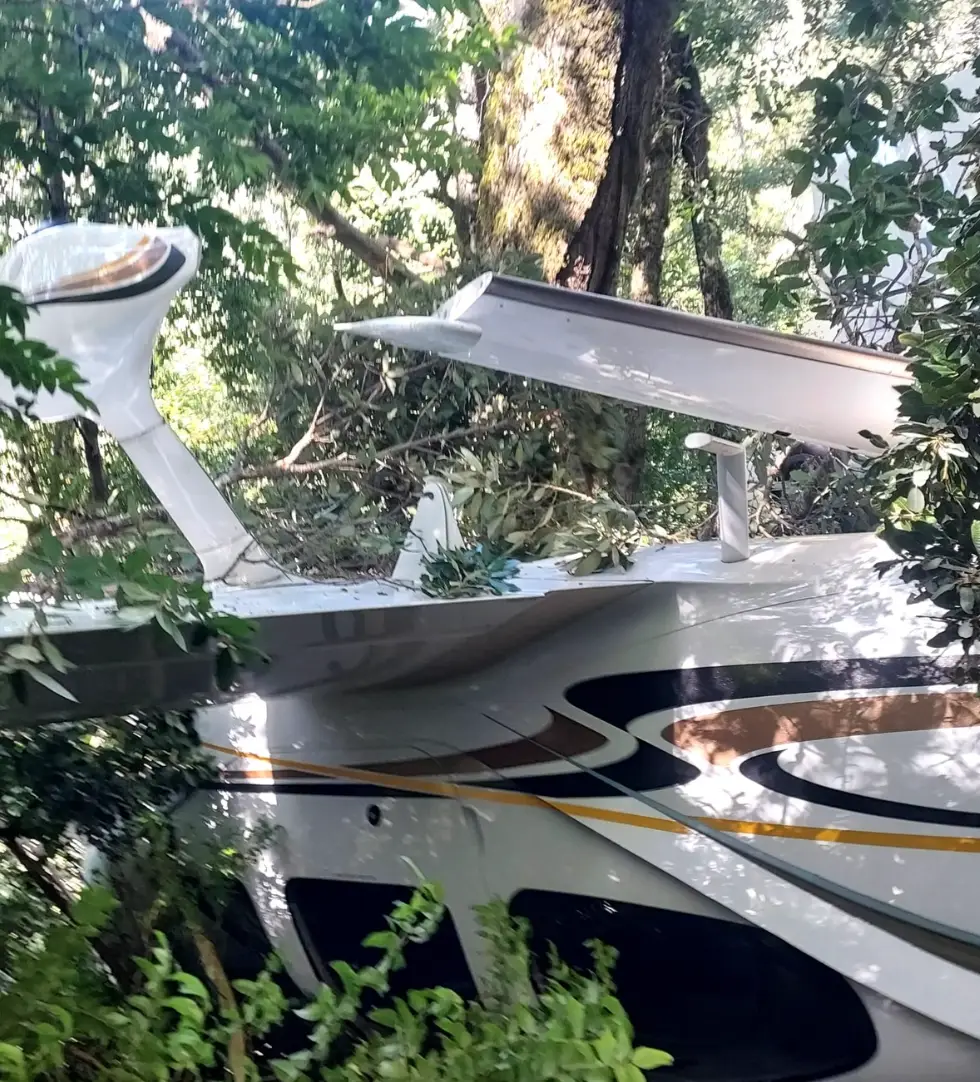 Miraculously the family walked away with 'minor injuries'.