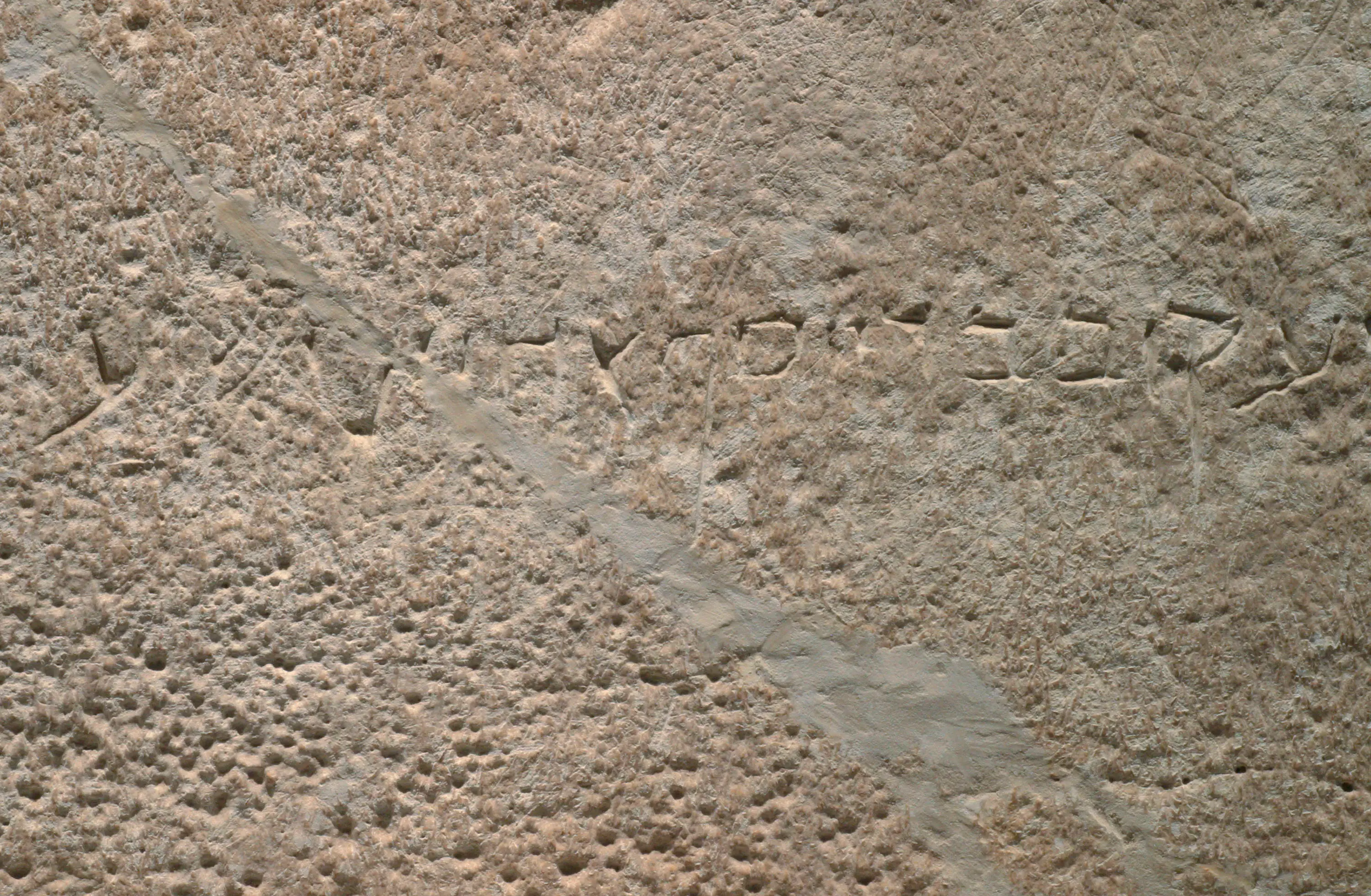 There's been much debate over the authenticity of the inscription (Drew Cunningham/Getty Images) 